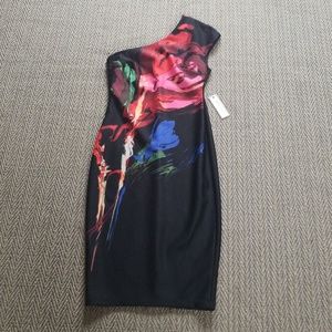 BISOU BISOU Dress. Never worn!